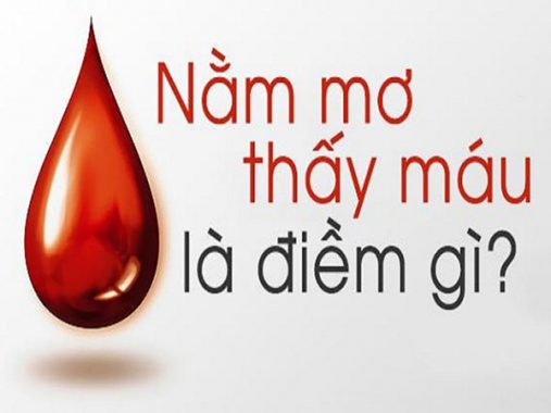 Mơ thấy máu – Giải mã bí ẩn giấc mơ thấy máu đánh con gì chuẩn xác