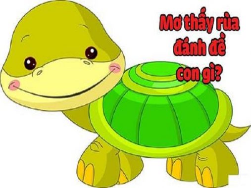 Mơ thấy rùa chiêm bao thấy rùa đánh con gì, tốt hay xấu?