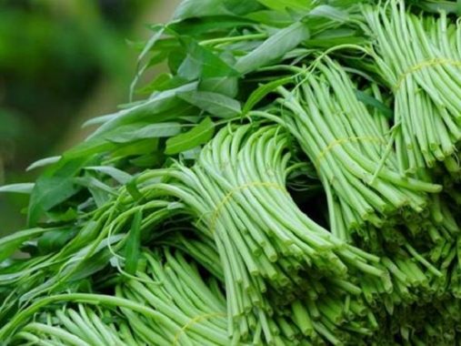 Nằm mơ thấy rau muống là điềm gì? Đánh số nào may mắn?