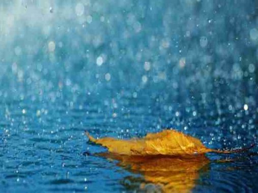 Mơ thấy mưa là điềm báo gì, đánh con nào dễ trúng?