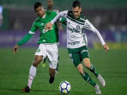 Nhận định tỷ lệ Palmeiras vs Chapecoense (7h00 ngày 17/10)