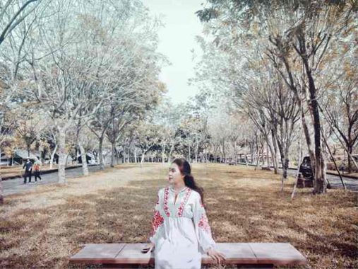 Cung Xử Nữ tuần này – Xem chi tiết tử vi cung Xử Nữ tuần này