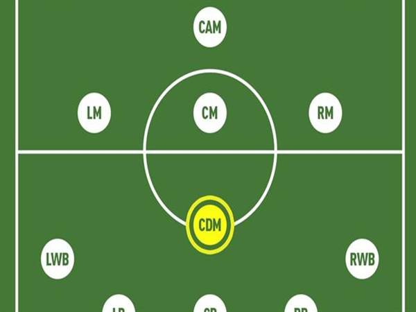 Tiêu chí lựa chọn cầu thủ cho đội hình 4-1-4-1