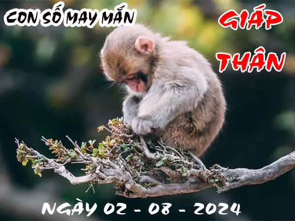 Thống kê con số may mắn tuổi Giáp Thân ngày 2/8/2024 thứ 6 hôm nay