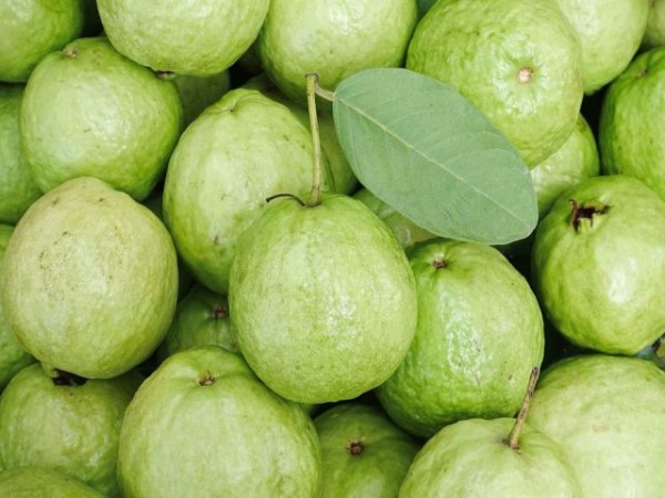 Ăn ổi với người yêu