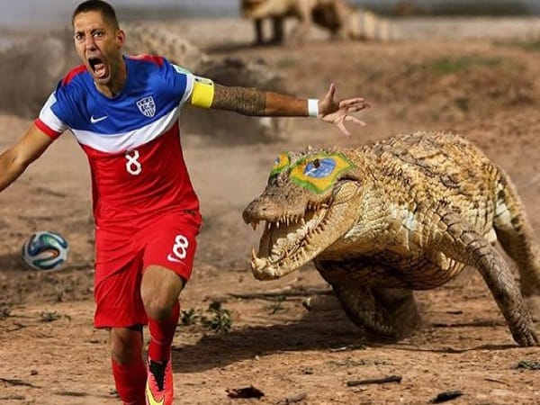 Nằm mơ thấy cá sấu đuổi mang điềm báo tốt xấu, số gì may