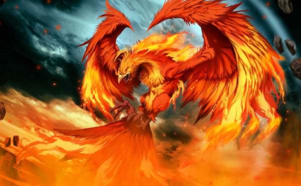 Chiêm bao thấy phượng hoàng bay vào người