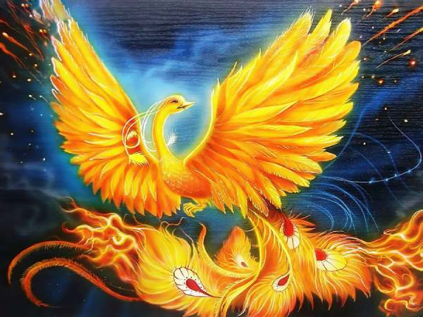 Sự thật bất ngờ khi nằm mơ thấy phượng hoàng hên hay xui