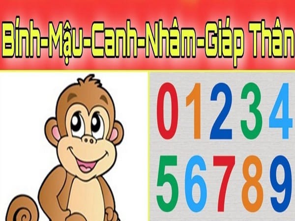 Con số may mắn ngày 11 tháng 3 năm 2026 của tuổi Thân thứ 4